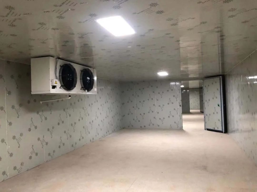 和顺气调保鲜冷库造价